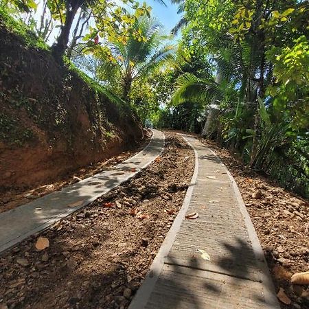 Private Jungle “Loft Del Rio” River Access Uvita Buitenkant foto