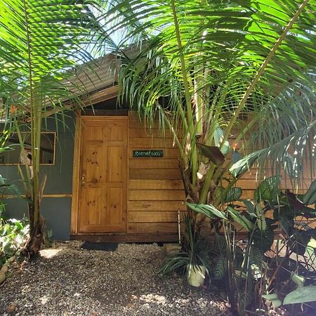 Private Jungle “Loft Del Rio” River Access Uvita Buitenkant foto