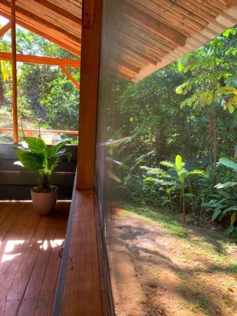 Private Jungle “Loft Del Rio” River Access Uvita Buitenkant foto